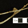 La Tène III brooch